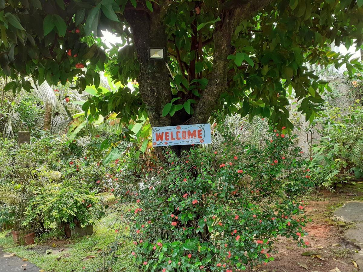 Gigi'S Self Catering Apartment Port Glaud Ngoại thất bức ảnh