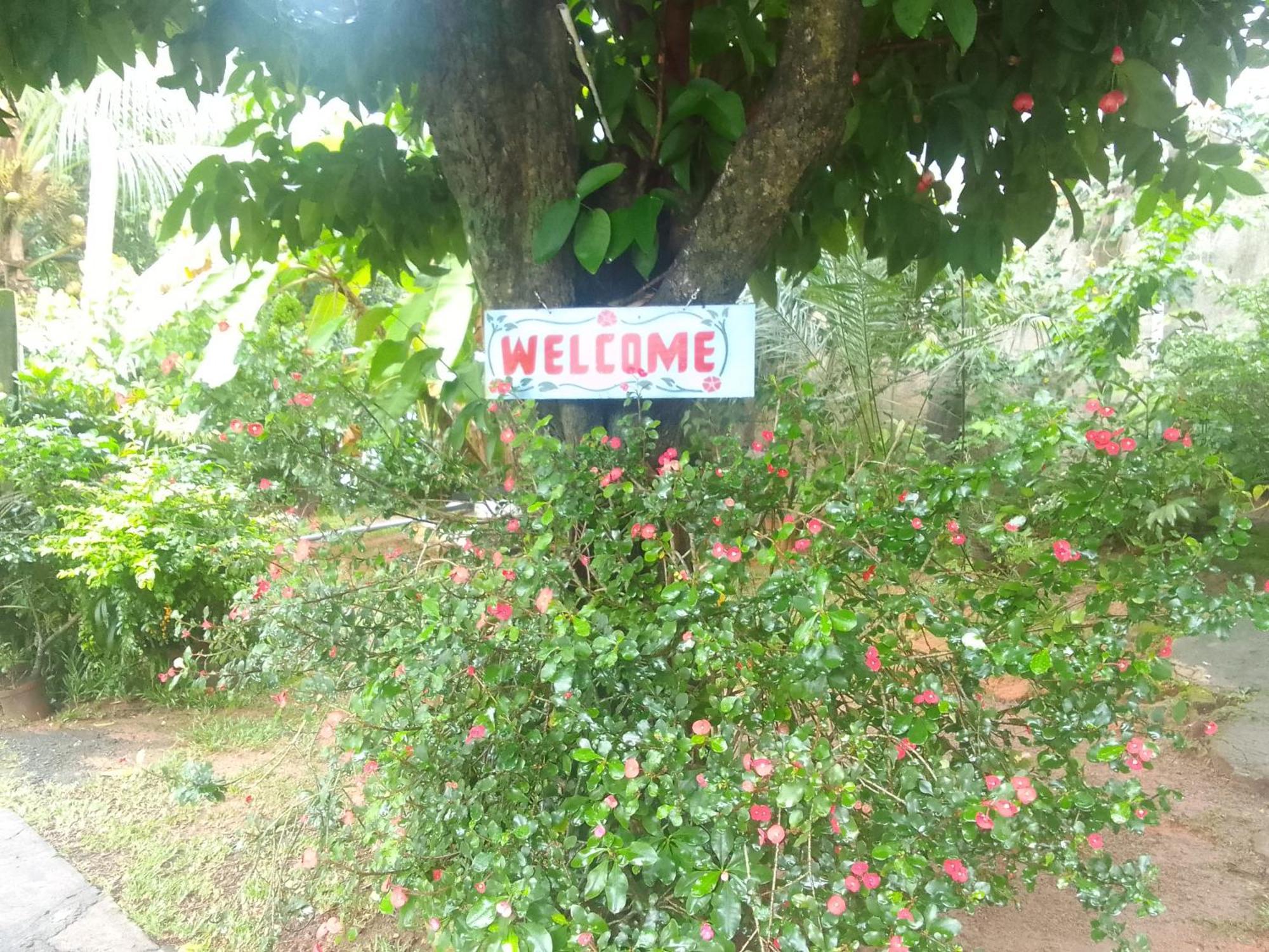 Gigi'S Self Catering Apartment Port Glaud Ngoại thất bức ảnh