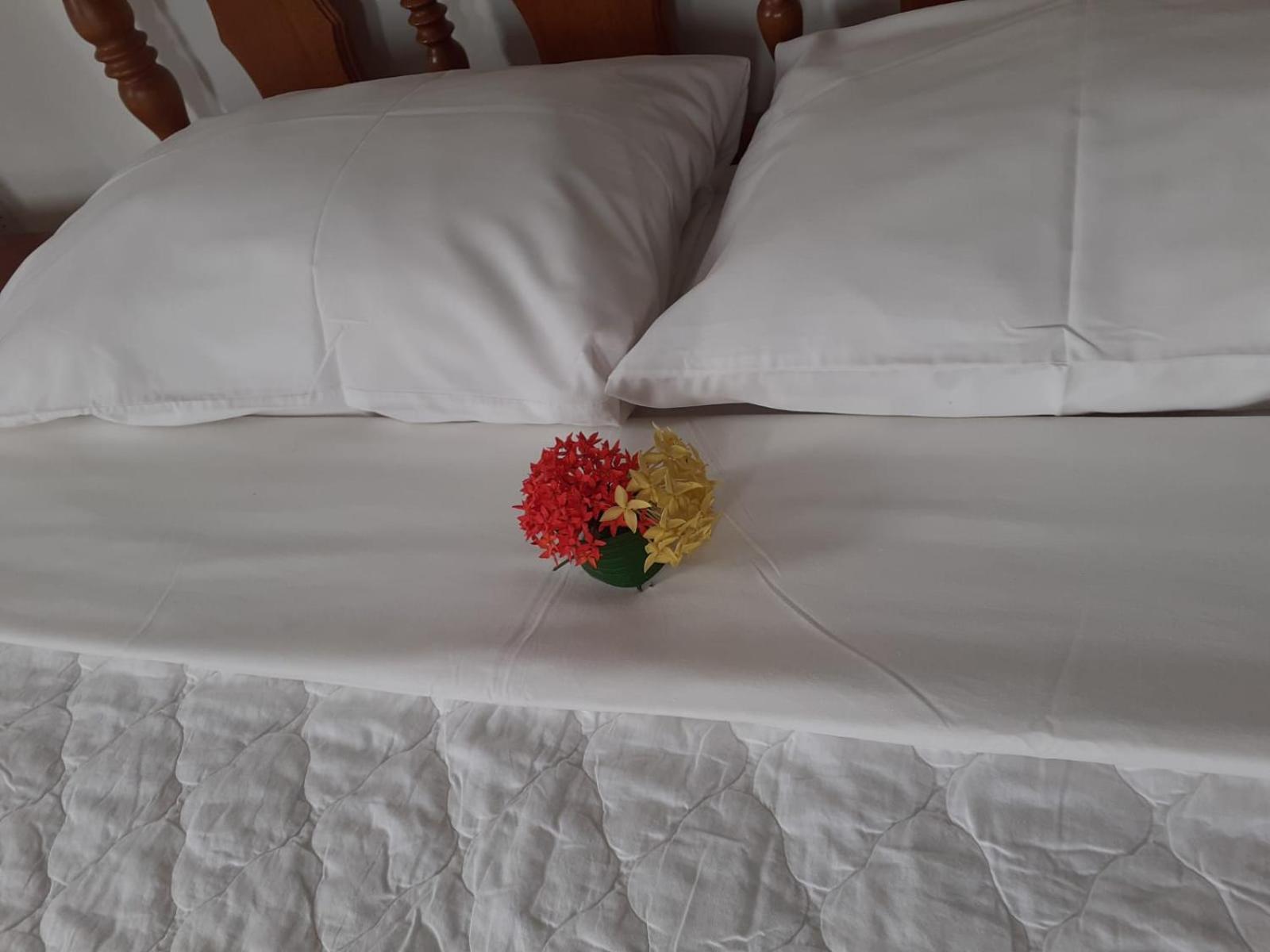 Gigi'S Self Catering Apartment Port Glaud Ngoại thất bức ảnh