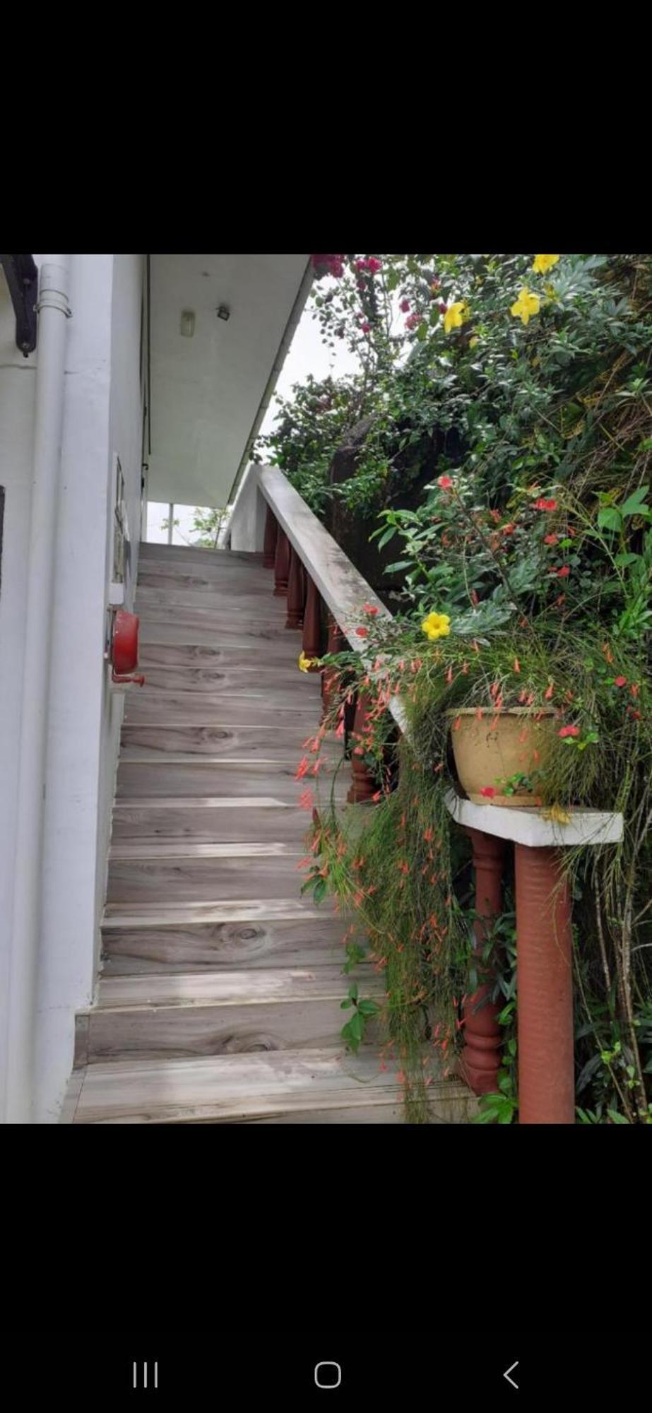 Gigi'S Self Catering Apartment Port Glaud Ngoại thất bức ảnh